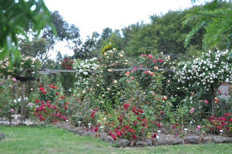 Fairy Wren Cottage Country To Coast Retreat - Timeshare Accommodation 6