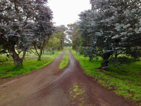 Fairy Wren Cottage Country To Coast Retreat - Timeshare Accommodation 4