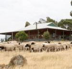 Gilgraves Vineyard Farmstay - Timeshare Accommodation