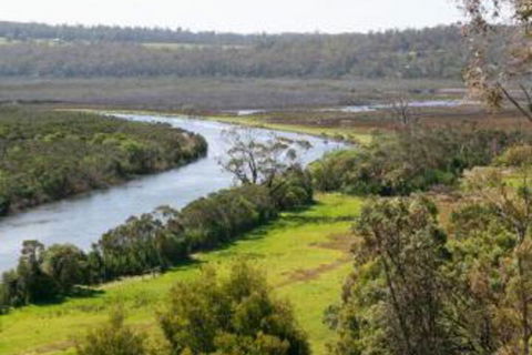 Brodribb River Rainforest Cabins Cabin 1 - Timeshare Accommodation 4