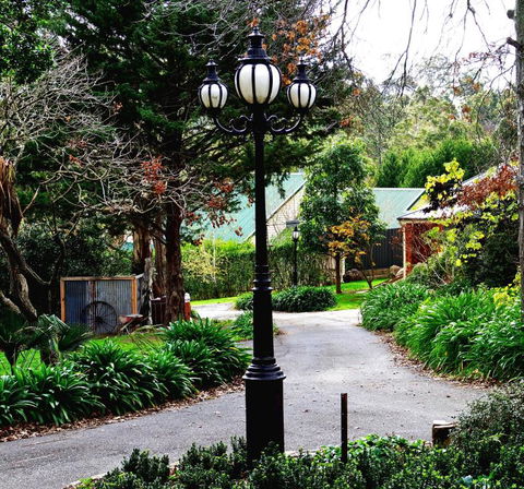 The Oaks Lilydale Accommodation - Timeshare Accommodation 5