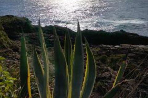 Ven & Marks Place - Timeshare Accommodation 0