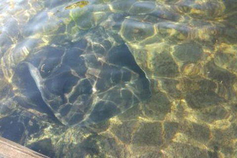 Ven & Marks Place - Timeshare Accommodation 4