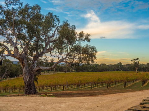 Shadow Creek McLaren Vale - Timeshare Accommodation 3