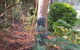 Lake Russell Lakeside Retreat - thumb 4