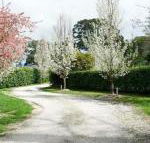Robin Hill Manor rambling retreat  tennis court - Timeshare Accommodation