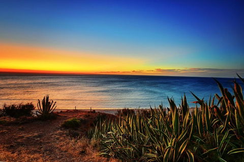 Palms On The Esplanade Sellicks Beach WiFi - Timeshare Accommodation 4