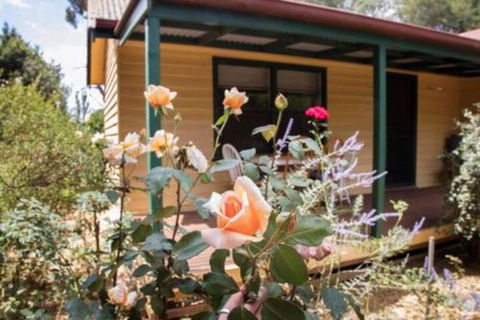 Malakai Farm Stay - Timeshare Accommodation 3