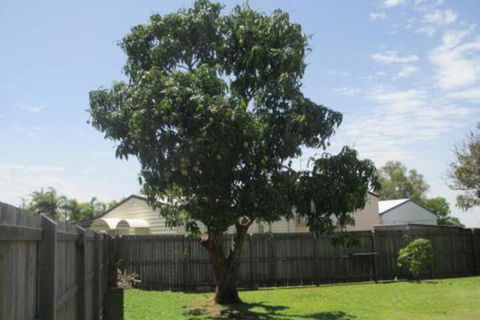 Fishermans Cottage Hervey Bay - Timeshare Accommodation 2