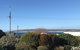 Berds Nest - thumb 4
