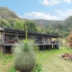 Cabbage Tree Farm Seclusion & Tranquillity! - Timeshare Accommodation 0