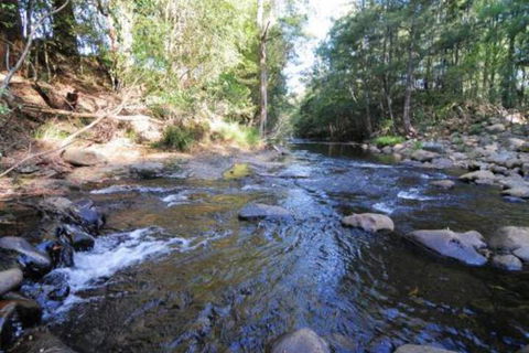 Willabrook Retreat Mojo Cottage Romantic Escape! - Timeshare Accommodation 5