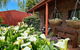 New Horizons Farm Stay - thumb 1