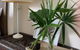 Mullaway Beach Holiday Cabins - thumb 3
