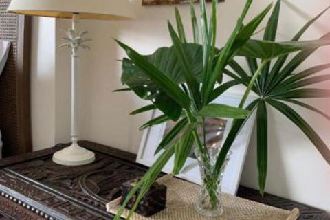 Mullaway Beach Holiday Cabins - Timeshare Accommodation 3