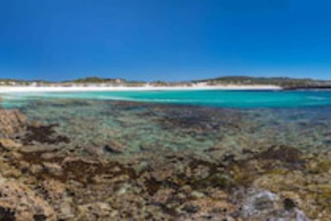 Hanson Bay Wildlife Sanctuary And Cabins - Timeshare Accommodation 0