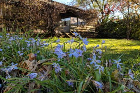 Alexander Cottage - Timeshare Accommodation 3