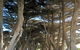 Blairgowrie Beach Baby - thumb 6