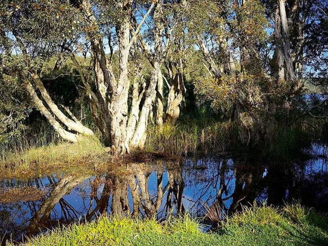 Wisteria Cottage On The Lagoon / Beach - Timeshare Accommodation 4