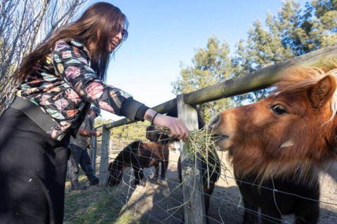 Jervis Bay Luxury Farm Escape - Timeshare Accommodation 5