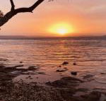 Paradise Beach Apartments - Timeshare Accommodation