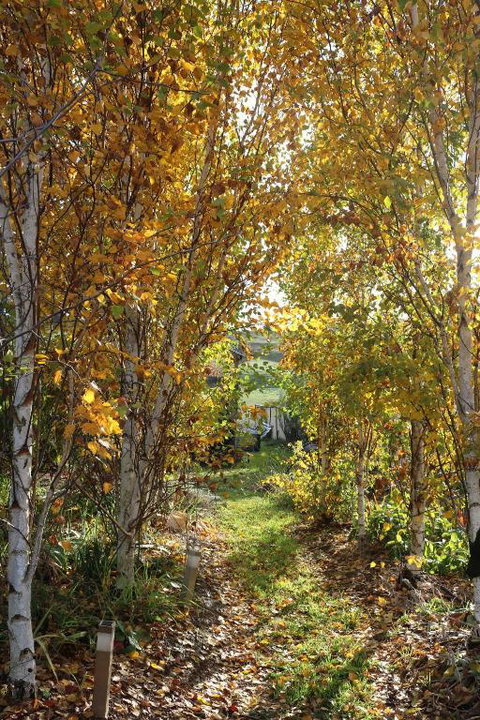 Magenta Cottage - Timeshare Accommodation 1