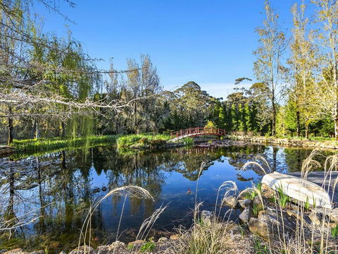 COOKS HOUSE - Timeshare Accommodation 5