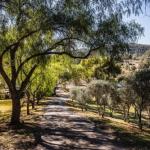 Capers Guesthouse Barn & Cottage - Timeshare Accommodation 0