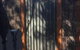 Brydon House Garden Studio - thumb 5