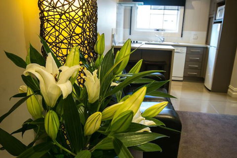 Gallery Apartments - Timeshare Accommodation 6