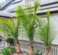 One Thornbury Boutique B  B - Timeshare Accommodation