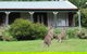 Cedar Lodge Cabins - thumb 1