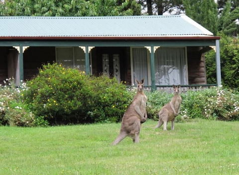 Cedar Lodge Cabins - Timeshare Accommodation 1