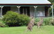 Cedar Lodge Cabins - thumb 0