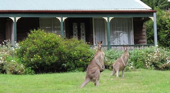 Cedar Lodge Cabins - Timeshare Accommodation 0