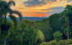 Daintree Manor Bed & Breakfast - thumb 0