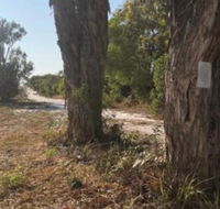 COONARR BEACH  BUNDABERG CAMPING