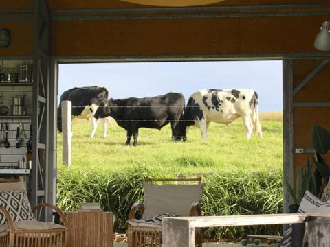 THE SHED Gerroa 4pm Checkout On Sundays & Public Holidays - Timeshare Accommodation 6
