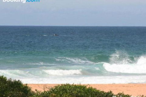 Beachfront Delight 14b Bareena Avenue - Timeshare Accommodation 1