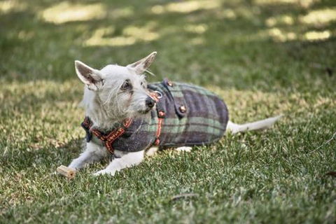 BEACH WITHIN REACH - Timeshare Accommodation 4