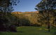 The Cedars Cottages - thumb 3