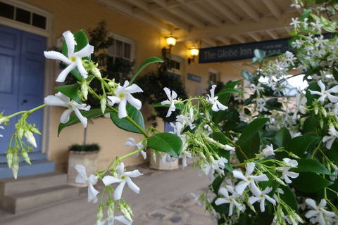 The Globe Inn - Timeshare Accommodation 2