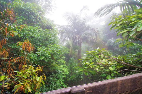 Mt Glorious Getaways - Timeshare Accommodation 7