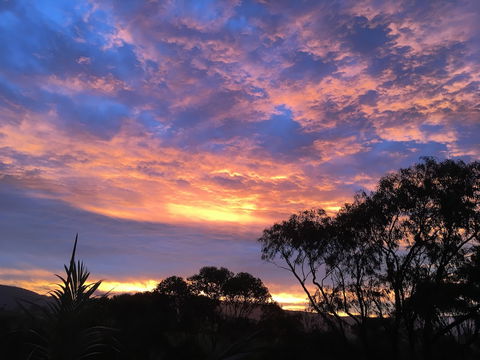 Bed & Breakfast At Kiama - Timeshare Accommodation 3