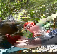 Lorne Bush House Cottages  Eco Retreats - Timeshare Accommodation