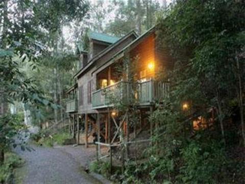 Barrington Wilderness Cedar Lodge Accommodation - Timeshare Accommodation 2