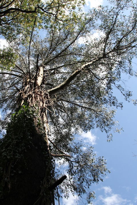 Gatehouse Cottage At Merrow Cottages - Mt Dandenong - Timeshare Accommodation 4