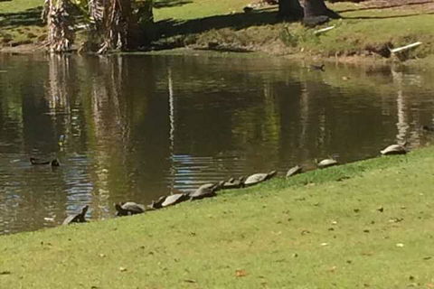 Sanctuary Lakes Fauna Retreat - Timeshare Accommodation 1