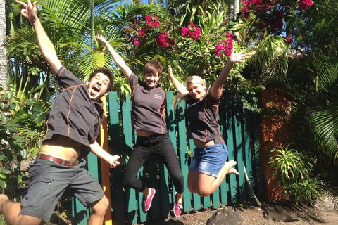 JJs Backpackers Hostel - Timeshare Accommodation 6