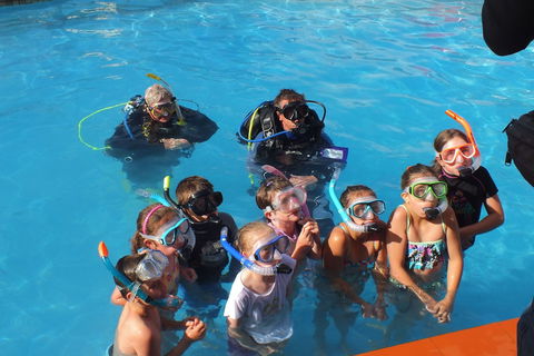 Warrnambool Motel And Holiday Park - Timeshare Accommodation 0